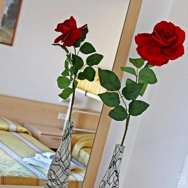 Hotel New Primula ริมินี ภายนอก รูปภาพ